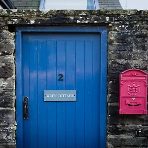 Wren , Pateley Bridge United Kingdom
